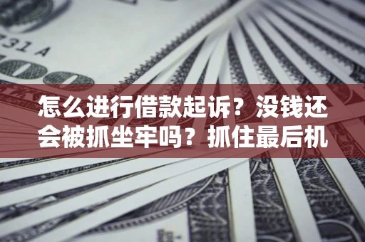 济南怎么进行借款起诉？没钱还会被抓坐牢吗？抓住最后机会！