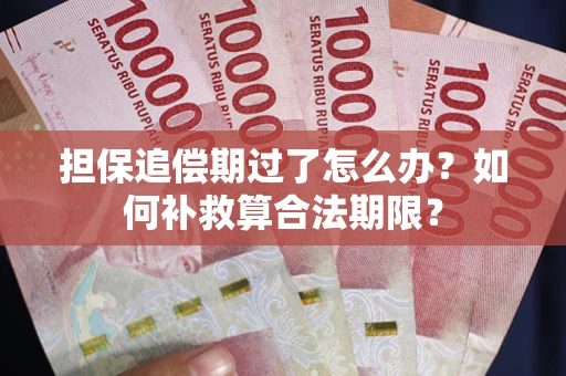 济南担保追偿期过了怎么办？如何补救算合法期限？