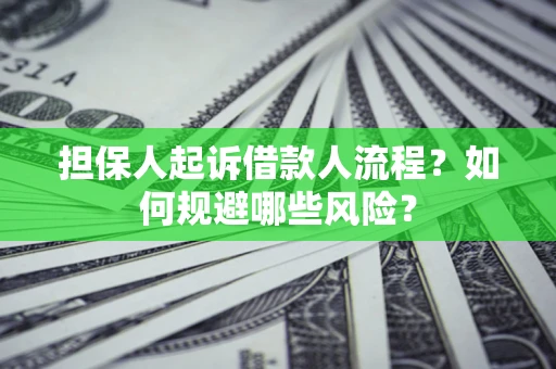 济南担保人起诉借款人流程？如何规避哪些风险？