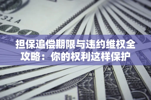 济南担保追偿期限与违约维权全攻略：你的权利这样保护