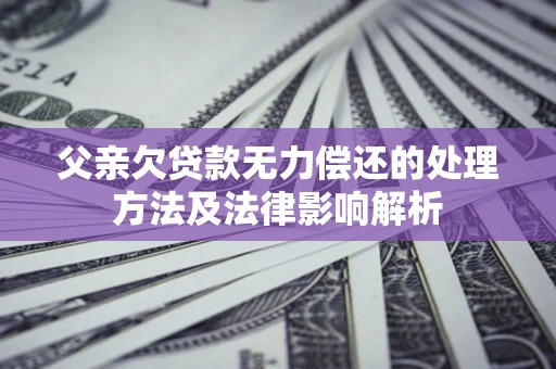 济南父亲欠贷款无力偿还的处理方法及法律影响解析